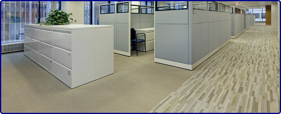 2 different styles of carpet in an office with partitioning walls and filing cabinets