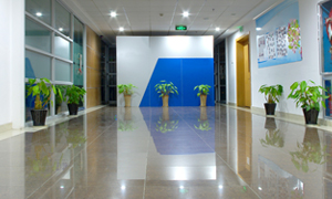 Tiled flooring in an office reception/hallway